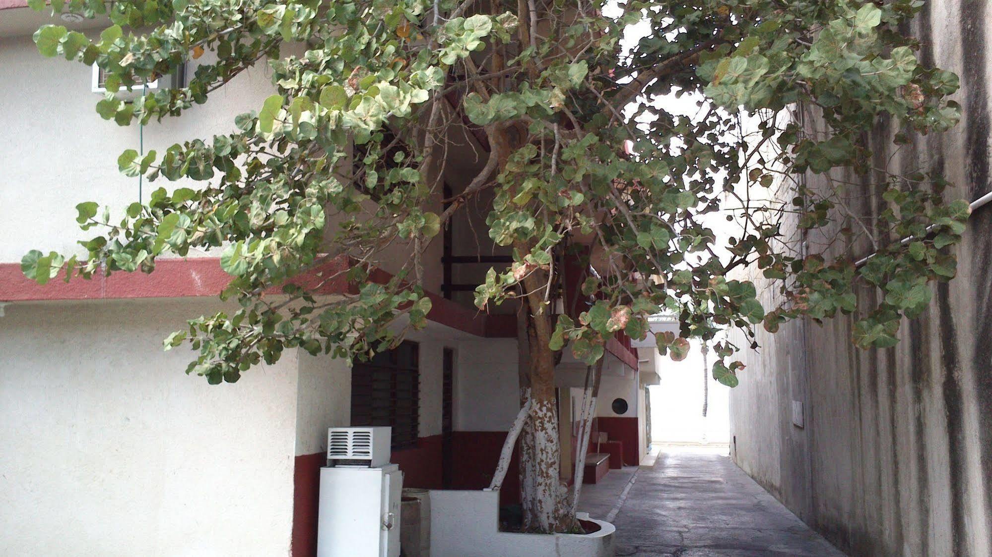 Safari Inn Cozumel Buitenkant foto
