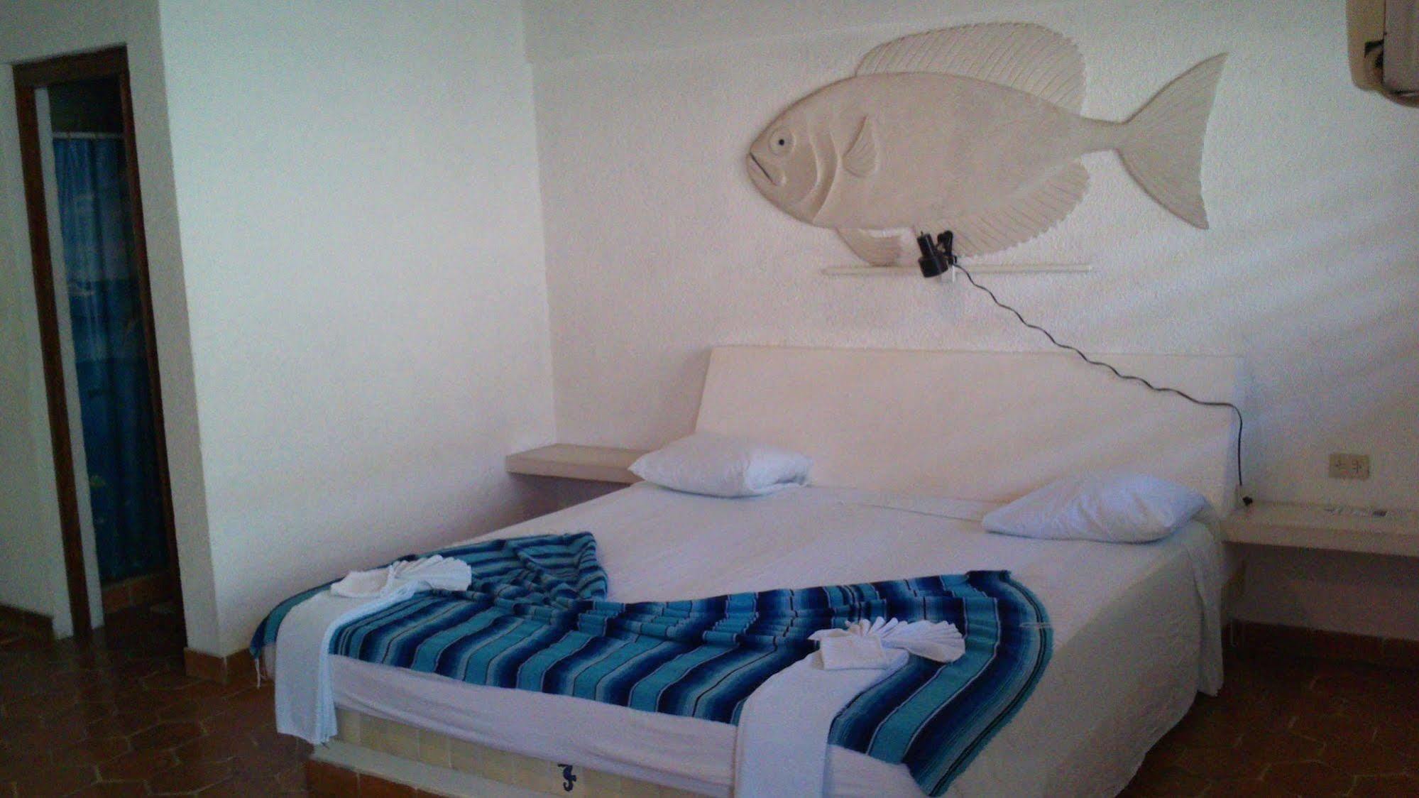 Safari Inn Cozumel Buitenkant foto