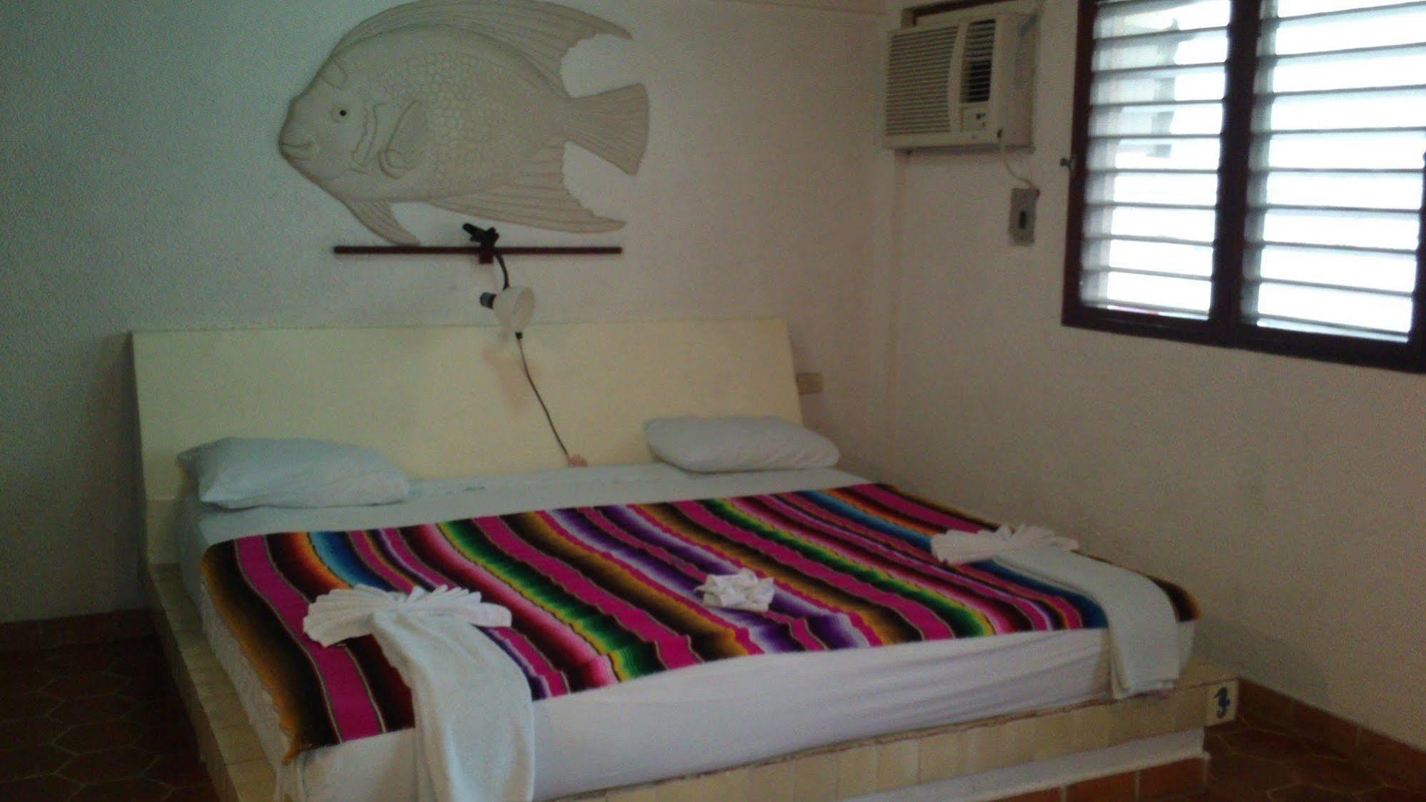 Safari Inn Cozumel Buitenkant foto